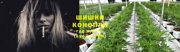 СК Балахна