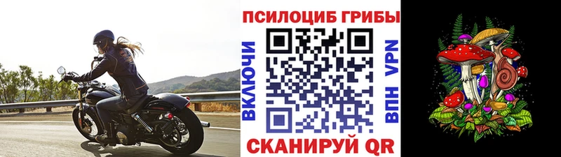 купить наркоту  Новомосковск  Псилоцибиновые грибы ЛСД 
