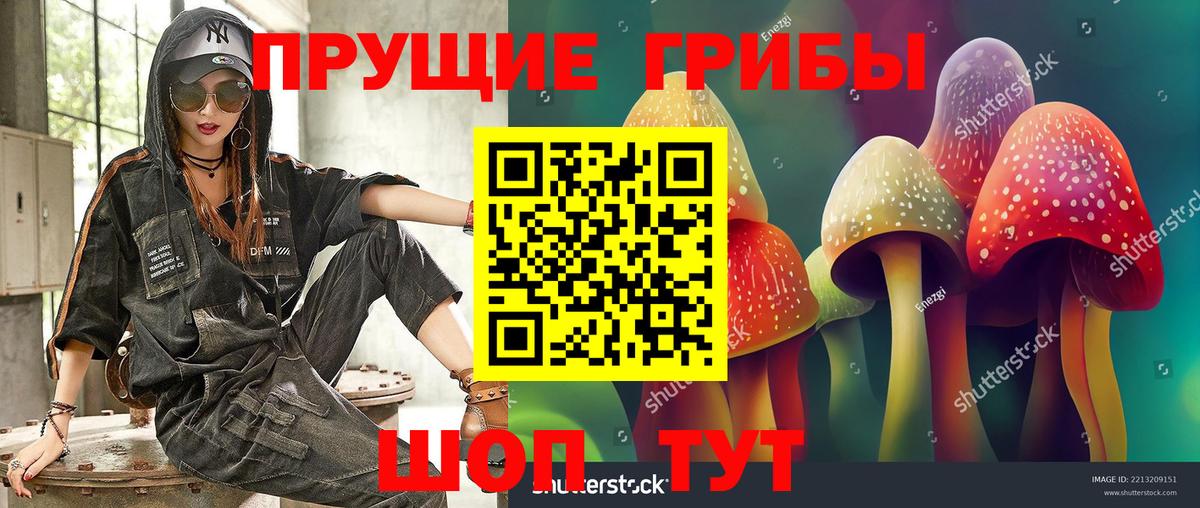 Псилоцибиновые грибы Psilocybine cubensis  Вход с VPN  цены наркотик  Новомосковск 